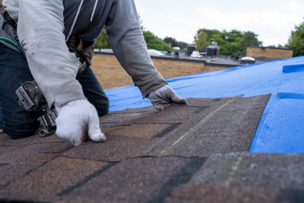 Best Flat Roof Repair Services  in Verdi, NV